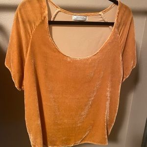 Donkey Girl Gold Velvet Top
